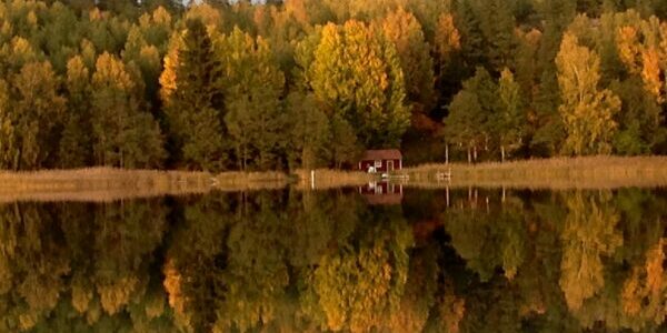 Bågviken Loftahammar